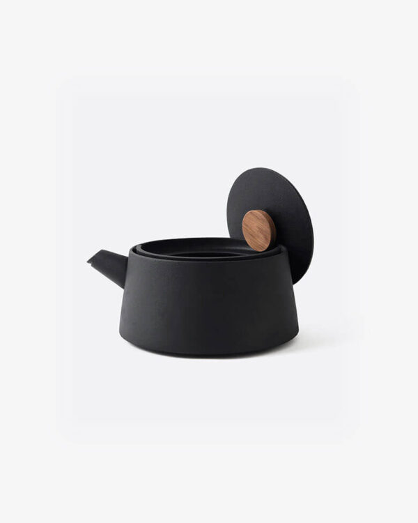 Iron kettle nambu tekki
